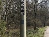 IMG_9575